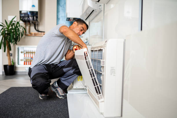 Best Best Air Duct Cleaning Company  in Lineville, AL