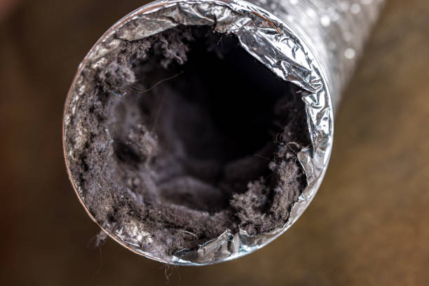 Best Commercial Air Duct Cleaning  in Lineville, AL